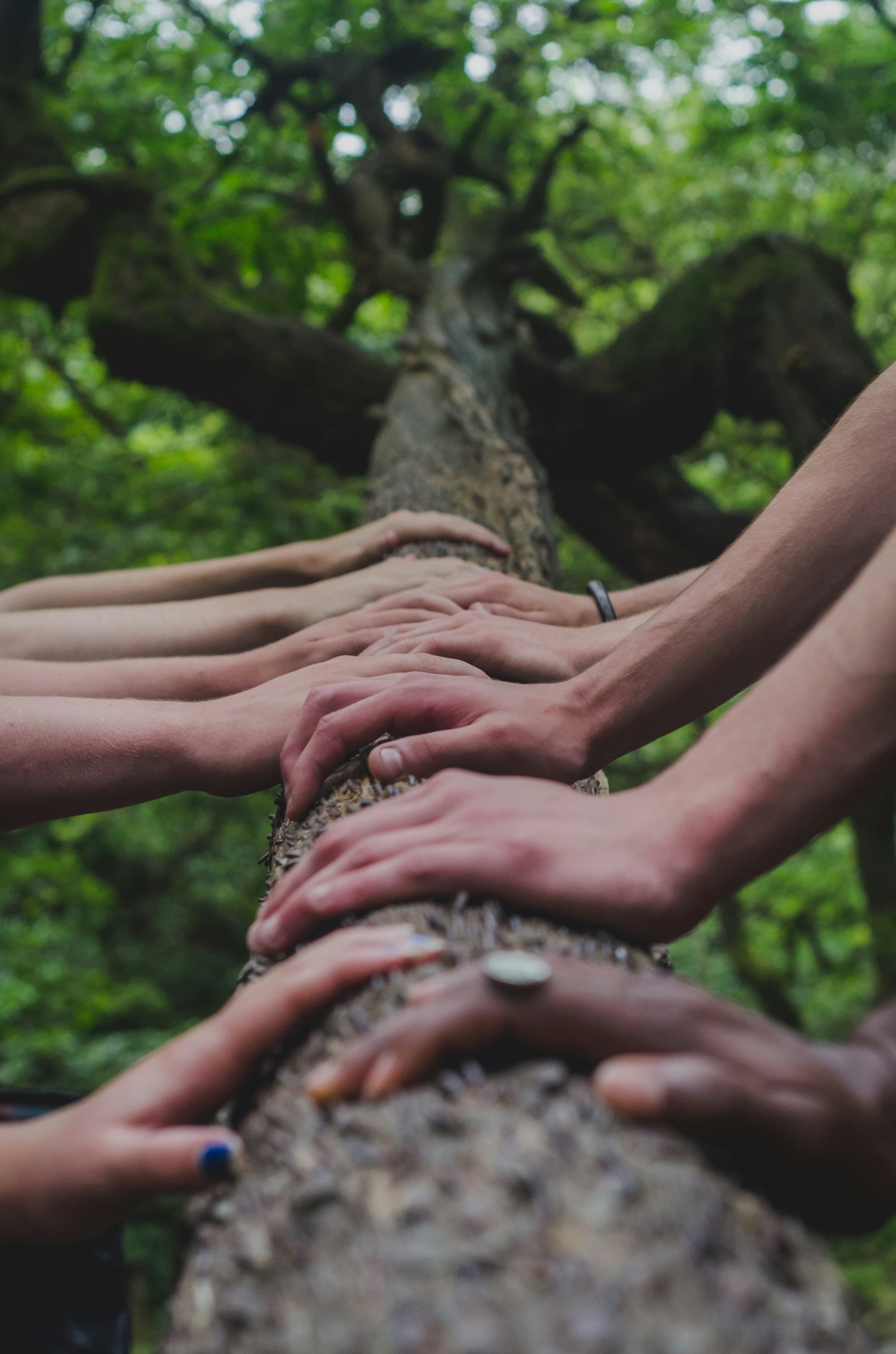 Collaborative care